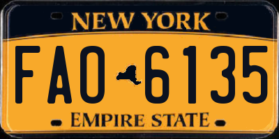 NY license plate FAO6135