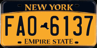 NY license plate FAO6137
