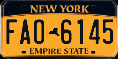 NY license plate FAO6145