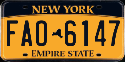 NY license plate FAO6147