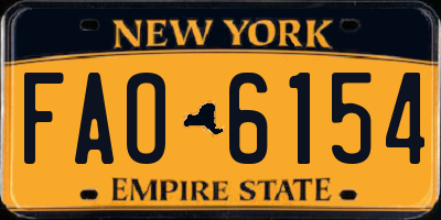 NY license plate FAO6154