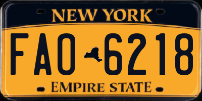 NY license plate FAO6218