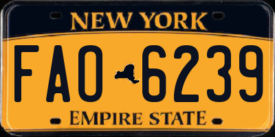 NY license plate FAO6239