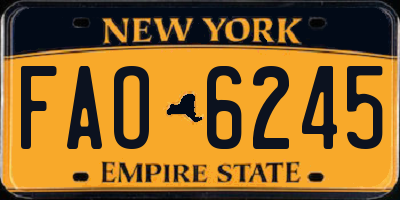 NY license plate FAO6245