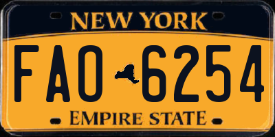 NY license plate FAO6254
