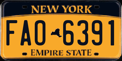 NY license plate FAO6391