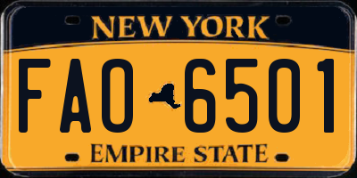 NY license plate FAO6501