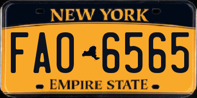 NY license plate FAO6565