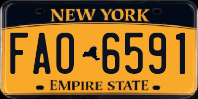 NY license plate FAO6591