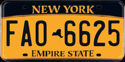 NY license plate FAO6625