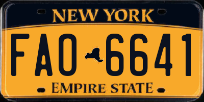 NY license plate FAO6641