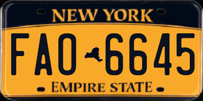 NY license plate FAO6645