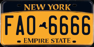 NY license plate FAO6666