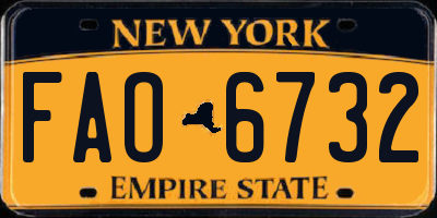 NY license plate FAO6732