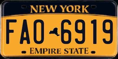 NY license plate FAO6919