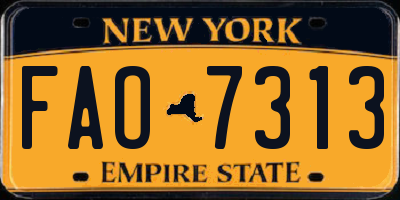 NY license plate FAO7313