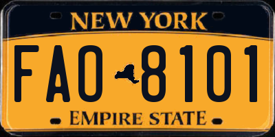 NY license plate FAO8101