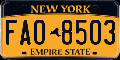 NY license plate FAO8503