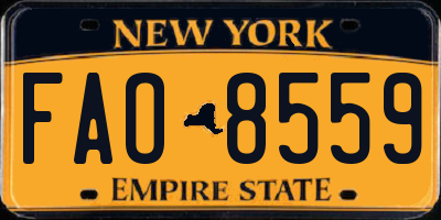 NY license plate FAO8559