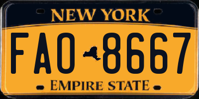 NY license plate FAO8667