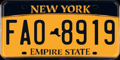 NY license plate FAO8919
