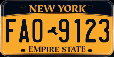 NY license plate FAO9123