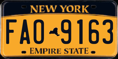 NY license plate FAO9163
