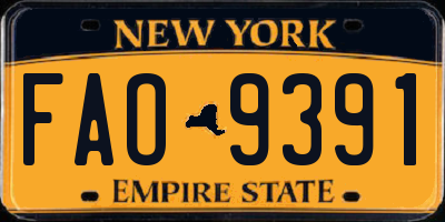 NY license plate FAO9391