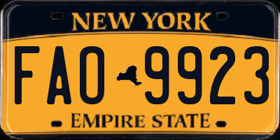 NY license plate FAO9923