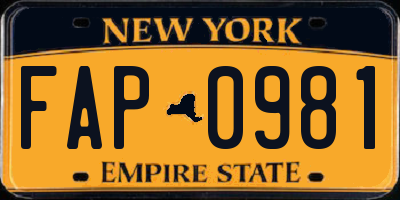 NY license plate FAP0981