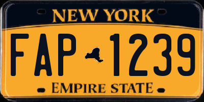 NY license plate FAP1239