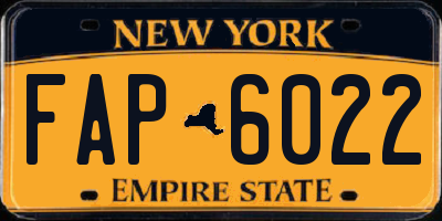 NY license plate FAP6022