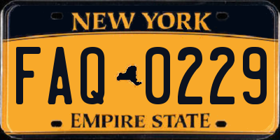 NY license plate FAQ0229
