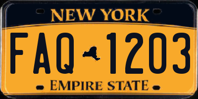 NY license plate FAQ1203