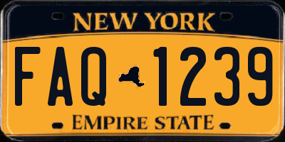 NY license plate FAQ1239