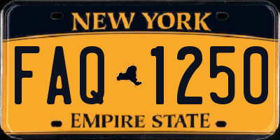 NY license plate FAQ1250