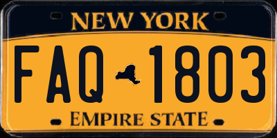 NY license plate FAQ1803