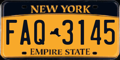 NY license plate FAQ3145