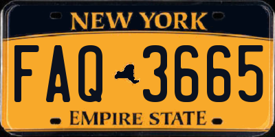 NY license plate FAQ3665