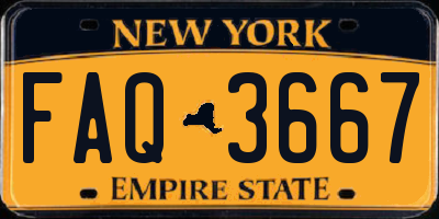 NY license plate FAQ3667