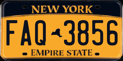 NY license plate FAQ3856