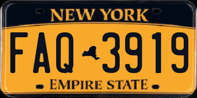 NY license plate FAQ3919