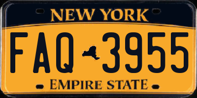 NY license plate FAQ3955