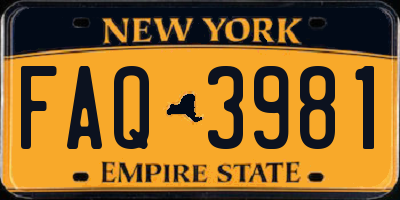 NY license plate FAQ3981