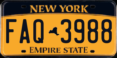 NY license plate FAQ3988