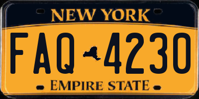NY license plate FAQ4230