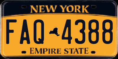 NY license plate FAQ4388