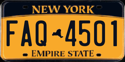 NY license plate FAQ4501