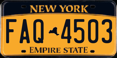 NY license plate FAQ4503