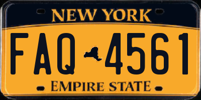 NY license plate FAQ4561